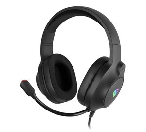 GENESIS NEON 213