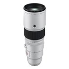 Fujifilm 16836580 Silver