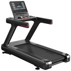 Master Fitness XT550 Mirror, Tredemøller