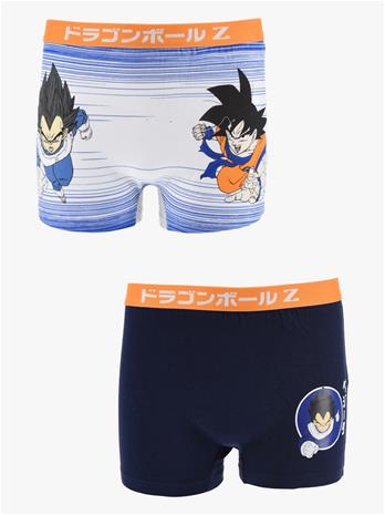 Dragon Ball Boxer Alushousut 2-pack, Moniväriset, 146-152