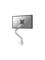 Neomounts DS70-250SL1 – kuva 2