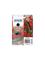 Epson Singlepack Black 503 Ink – kuva 2