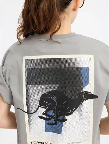 7 DAYS Active Regular Race Line Tee - Grey - XL