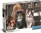 Clementoni Lovely Kittens (1000) – kuva 4
