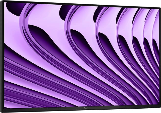24" Dell Pro P P2426HE