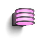 Philips Hue White and colour ambience Lucca Outdoor wall light