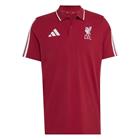 Liverpool Pikee DNA - Bordeaux