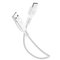 Cellularline Power Cable 200cm - USB-C USB-C cable for recharging and transferring data – kuva 1