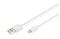 DIGITUS Lightning cable - Lightning / USB - 1 m – kuva 2