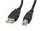 Lanberg - USB cable - USB to USB Type B - 50 cm – kuva 2