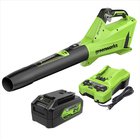 Greenworks BL24L411-01 24V 1x4,0Ah, akkulehtipuhallin