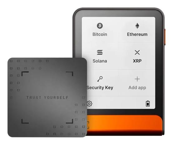 Ledger Flex Harmaa, Oranssi – kuva 1/1