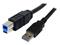 StarTech.com 3m Black SuperSpeed USB 3.0 Cable A to B - M/M – kuva 3