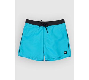 Quiksilver Everyday Half Jam 16 Surffishortsit aqua Miehet