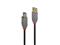 Lindy Anthra Line - USB cable - USB Type A to USB Type B - 1 m – kuva 2