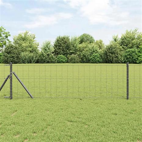 vidaXL Euroaita Harmaa 0.6x50 m Teräs