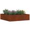 vidaXL Nurmireunus Ruosteinen 50 x 50 x 13 cm Kulunut Teräs – kuva 3