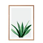 Poster & Frame Poster & Frame Agave - Multi/patterned - 70X100CM