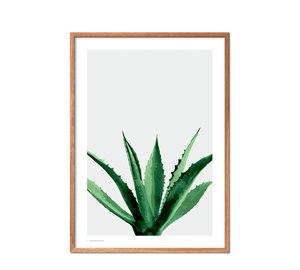 Poster & Frame Poster & Frame Agave - Multi/patterned - 70X100CM
