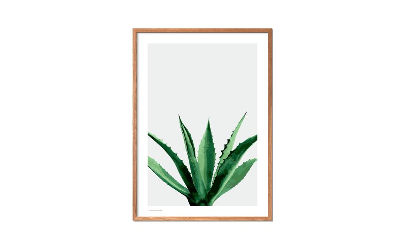 Poster & Frame Poster & Frame Agave - Multi/patterned - 70X100CM