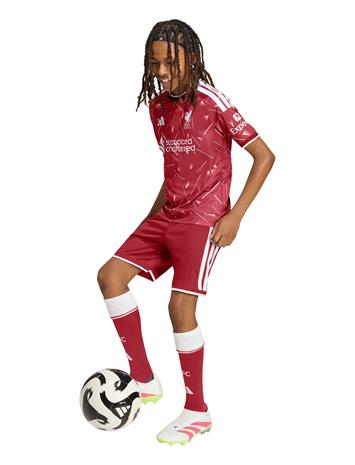adidas Performance Lfc H Sho Y - Red - 176