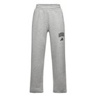 adidas Sportswear J Clgt Fl Pnt - Grey - 176