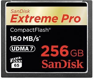 Sandisk microSDXC 256GB