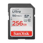 Sandisk SDXC 256GB
