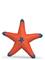Schleich Starfish with color change – kuva 4