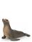 Schleich Sea Lion – kuva 5