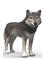 Schleich American Wolf – kuva 4