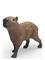 Schleich Capybara – kuva 4