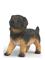 Schleich German Shepherd puppy – kuva 4