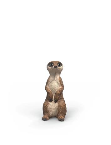 Schleich Meerkat