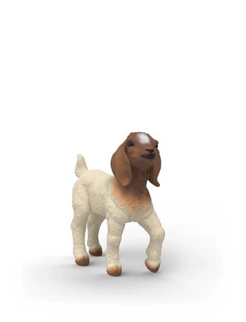 Schleich Boer Goat kid – kuva 4/8