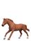 Schleich English Thoroughbred Stallion – kuva 5