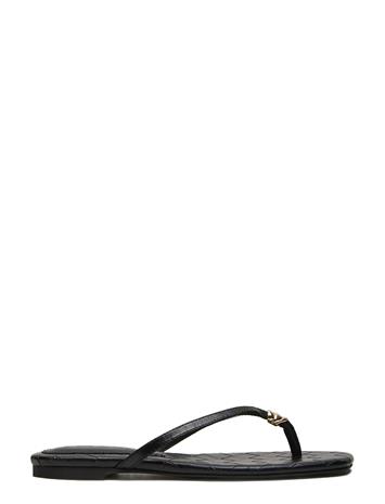 Steve Madden Maliyah - Black - 41