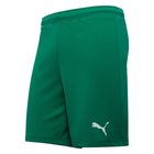 PUMA Treenishortsit teamRISE - Vihreä/Valkoinen