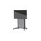 SMS Presence Mobile - Max 120 kg - recommended for – kuva 1