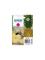 Epson Singlepack Magenta 604 Ink – kuva 3