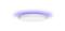 LED Ceiling Light Arwen 450S – kuva 1