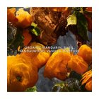GUERLAIN Aqua Allegoria Mandarine Basilic Forte Eau de Parfum 200 ml