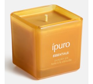 iPuro Pumpkin Pie tuoksulasikynttilä