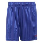 Japani Shortsit EQT - Sininen