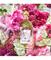 Guerlain Aqua allegoria rosa verde -tuoksu – kuva 4