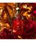 Guerlain Absolus allegoria ambre samar eau de parfum -tuoksu – kuva 5