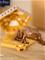 Harry Potter Chocolate Frog – kuva 3