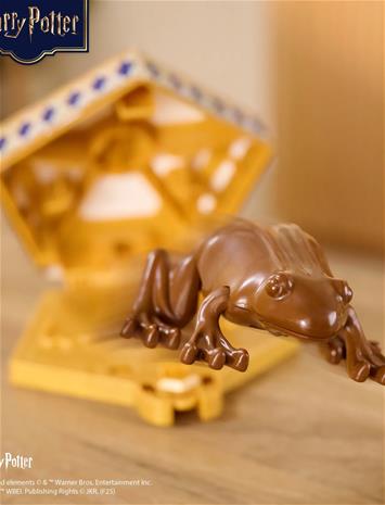 Harry Potter Chocolate Frog