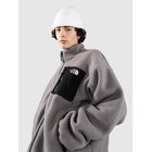 THE NORTH FACE tnf black / smoked pearl Miehet
