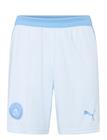 PUMA Mcfc Shorts Replica - Blue - XXL